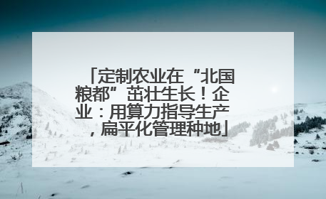 定制农业在“北国粮都”茁壮生长！企业：用算力指导生产，扁平化管理种地