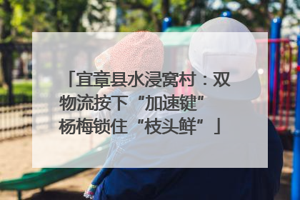 宜章县水浸窝村：双物流按下“加速键” 杨梅锁住“枝头鲜”