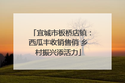 宜城市板桥店镇：西瓜丰收销售俏 乡村振兴添活力