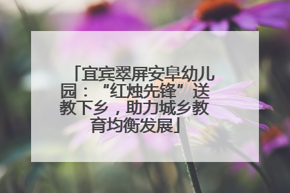 宜宾翠屏安阜幼儿园：“红烛先锋”送教下乡，助力城乡教育均衡发展