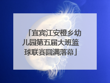 宜宾江安橙乡幼儿园第五届大班篮球联赛圆满落幕