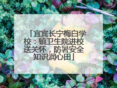 宜宾长宁梅白学校：镇卫生院进校送关怀，防暑安全知识润心田