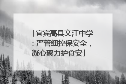 宜宾高县文江中学：严管细控保安全，凝心聚力护食安