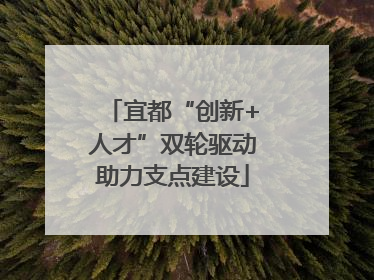 宜都“创新+人才”双轮驱动助力支点建设