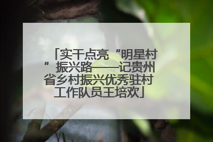 实干点亮“明星村”振兴路——记贵州省乡村振兴优秀驻村工作队员王培欢