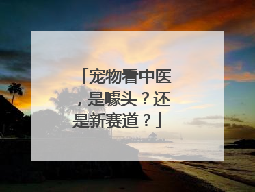 宠物看中医，是噱头？还是新赛道？