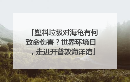 塑料垃圾对海龟有何致命伤害？世界环境日，走进开普敦海洋馆
