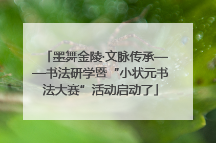 墨舞金陵·文脉传承——书法研学暨“小状元书法大赛”活动启动了