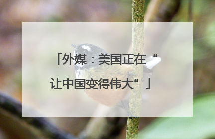 外媒：美国正在“让中国变得伟大”