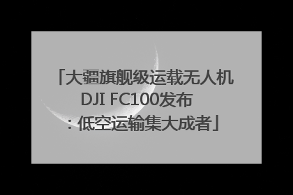 大疆旗舰级运载无人机DJI FC100发布：低空运输集大成者