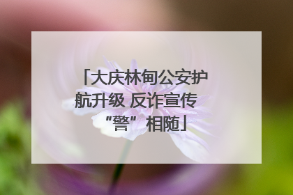 大庆林甸公安护航升级 反诈宣传“警”相随