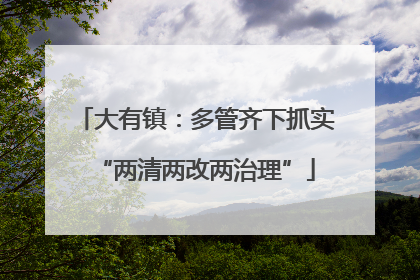 大有镇：多管齐下抓实“两清两改两治理”