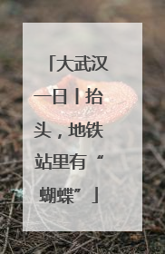 大武汉一日丨抬头，地铁站里有“蝴蝶”