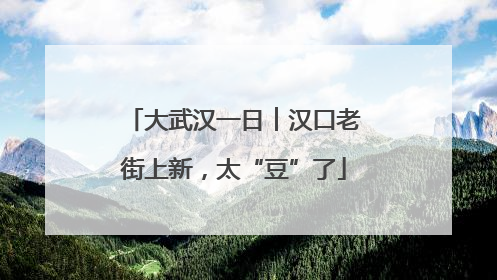 大武汉一日︱汉口老街上新，太“豆”了