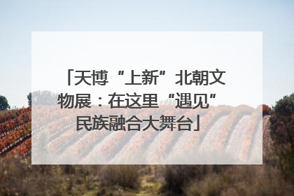 天博“上新”北朝文物展：在这里“遇见”民族融合大舞台