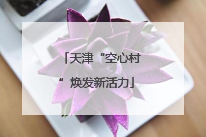 天津“空心村”焕发新活力