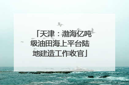 天津：渤海亿吨级油田海上平台陆地建造工作收官