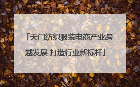 天门纺织服装电商产业跨越发展 打造行业新标杆