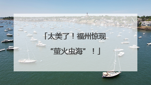 太美了！福州惊现“萤火虫海”！