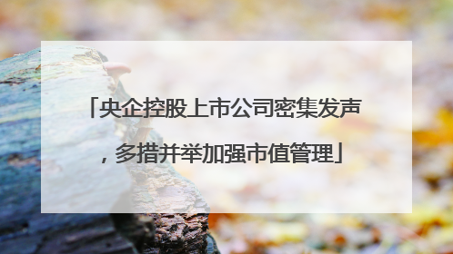 央企控股上市公司密集发声，多措并举加强市值管理