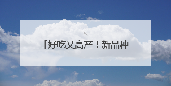 好吃又高产！新品种为安徽蔬菜产业高质发展注入科技动能