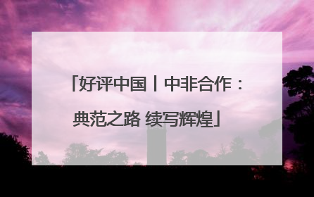 好评中国丨中非合作：典范之路 续写辉煌