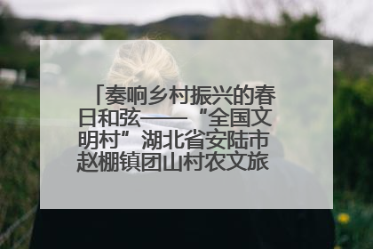 奏响乡村振兴的春日和弦——“全国文明村”湖北省安陆市赵棚镇团山村农文旅融合发展见闻
