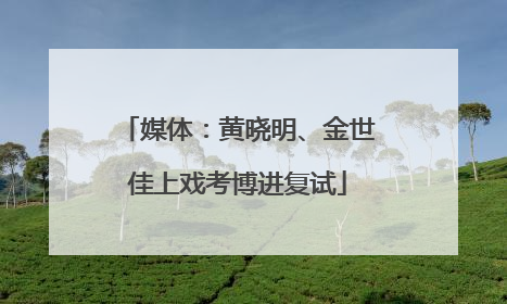 媒体：黄晓明、金世佳上戏考博进复试