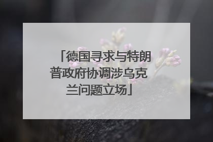 德国寻求与特朗普政府协调涉乌克兰问题立场