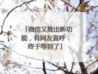 微信又推出新功能，有网友直呼：终于等到了