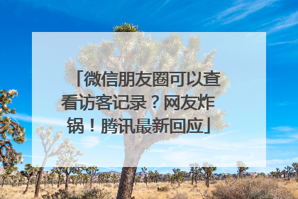 微信朋友圈可以查看访客记录？网友炸锅！腾讯最新回应