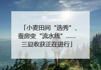 小麦田间“选秀”、蚕房变“流水线”……三夏收获正在进行