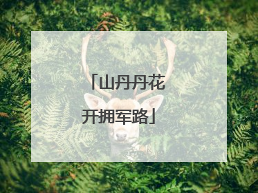 山丹丹花开拥军路