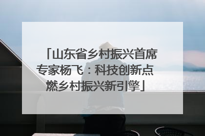 山东省乡村振兴首席专家杨飞：科技创新点燃乡村振兴新引擎