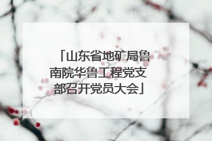 山东省地矿局鲁南院华鲁工程党支部召开党员大会