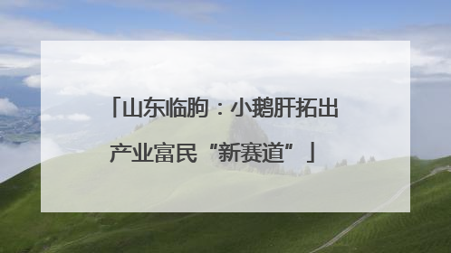 山东临朐：小鹅肝拓出产业富民“新赛道”