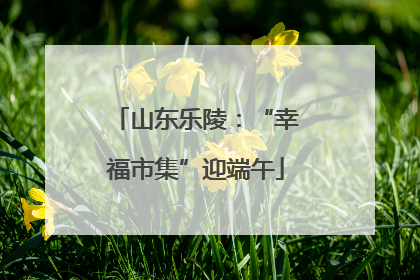 山东乐陵：“幸福市集”迎端午