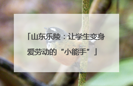 山东乐陵：让学生变身爱劳动的“小能手”