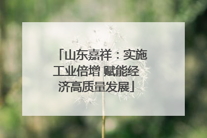 山东嘉祥：实施工业倍增 赋能经济高质量发展