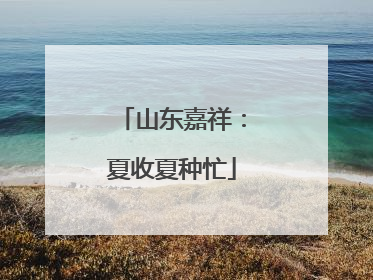 山东嘉祥：夏收夏种忙