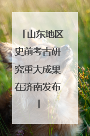 山东地区史前考古研究重大成果在济南发布