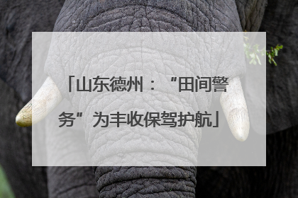 山东德州：“田间警务”为丰收保驾护航