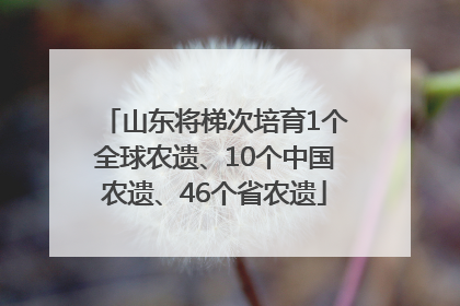山东将梯次培育1个全球农遗、10个中国农遗、46个省农遗