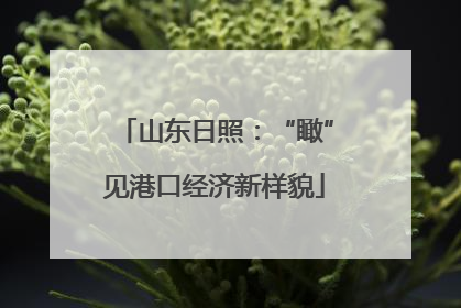山东日照：“瞰”见港口经济新样貌