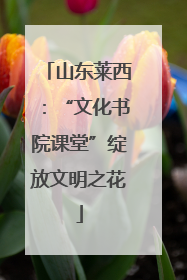 山东莱西：“文化书院课堂”绽放文明之花
