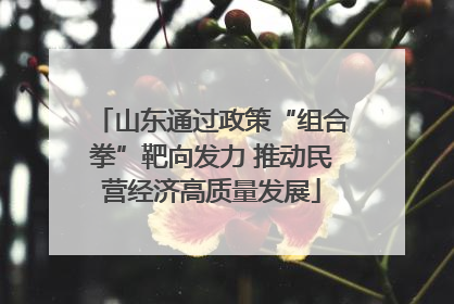 山东通过政策“组合拳”靶向发力 推动民营经济高质量发展