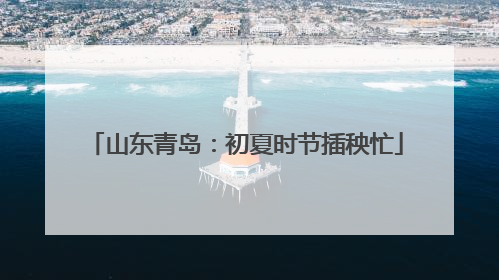 山东青岛：初夏时节插秧忙