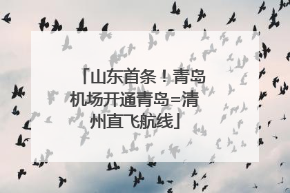 山东首条！青岛机场开通青岛=清州直飞航线