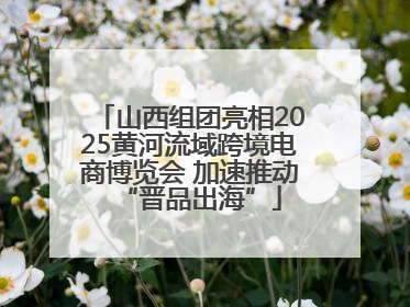 山西组团亮相2025黄河流域跨境电商博览会 加速推动“晋品出海”