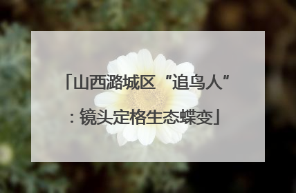 山西潞城区“追鸟人”：镜头定格生态蝶变